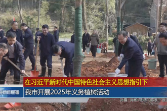 常德市开展2025年义务植树活动