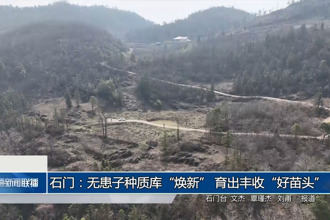石门：无患子种质库“焕新” 育出丰收“好苗头”