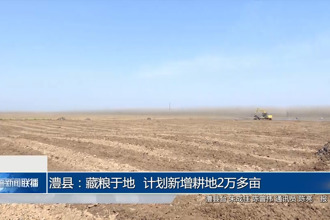 澧县：藏粮于地 计划新增耕地2万多亩
