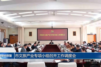 常德市文旅产业专项小组召开工作调度会