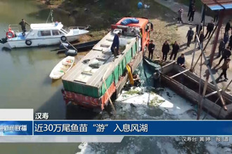 汉寿：近30万尾鱼苗“游”入息风湖