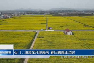 石门：油菜花开迎客来 春日踏青正当时