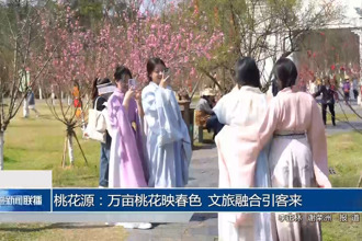桃花源：万亩桃花映春色 文旅融合引客来