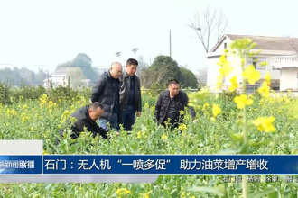石门：无人机“一喷多促” 助力油菜增产增收