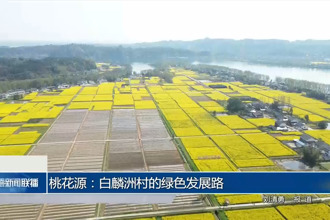 桃花源：白麟洲村的绿色发展路