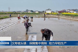 汉寿坡头镇：保障集中育秧 助力早稻生产