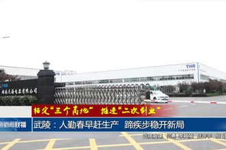 武陵：人勤春早赶生产 蹄疾步稳开新局