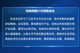 市政府第67次常务会议召开