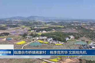 临澧佘市桥镇蒋家村：桃李竞芳华 文旅抢先机