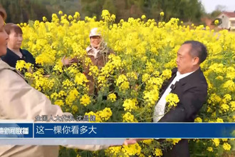全国人大代表沈昌健：加大油菜种业创新 为乡村振兴注入科技动能