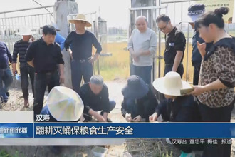 汉寿：翻耕灭蛹保粮食生产安全