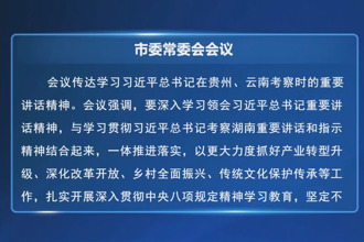 罗毅君主持召开市委常委会会议