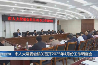 市人大常委会机关召开2025年4月份工作调度会