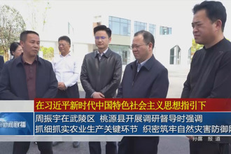 周振宇在武陵区、桃源县开展调研督导时强调： 抓细抓实农业生产关键环节 织密筑牢自然灾害防御网络