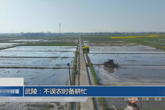 武陵：不误农时备耕忙