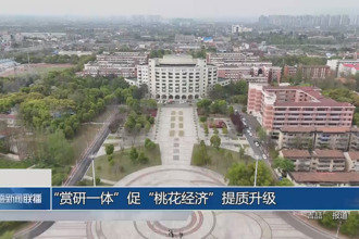 “赏研一体”促“桃花经济”提质升级