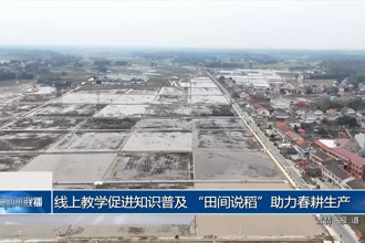 线上教学促进知识普及 “田间说稻”助力春耕生产