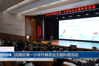 武陵区第一小学开展昆虫主题科普活动