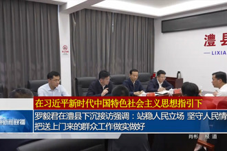 罗毅君在澧县下沉接访强调：站稳人民立场 坚守人民情怀 把送上门来的群众工作做实做好