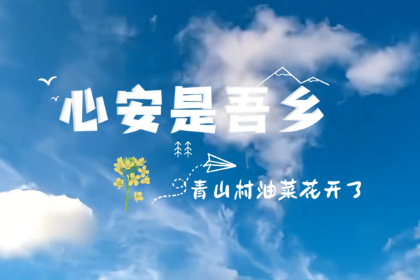临澧青山村千亩油菜花开了～
