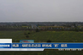 桃源：绿肥生态还田 耕地减“肥”提质