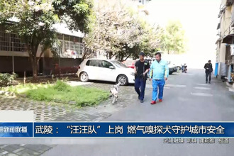 武陵：“汪汪队”上岗 燃气嗅探犬守护城市安全