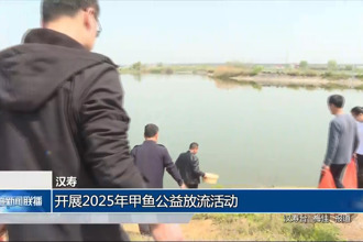 汉寿：开展2025年甲鱼公益放流活动