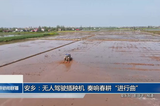 安乡：无人驾驶插秧机 奏响春耕“进行曲”