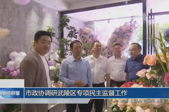 市政协调研武陵区专项民主监督工作