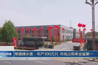 常德牌水表：年产300万只 市场占有率全省第一