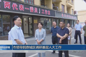 市领导到鼎城区调研基层人大工作