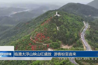 临澧太浮山映山红盛放 游客纷至沓来