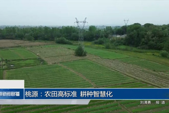 桃源：农田高标准 耕种智慧化