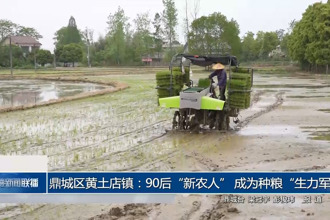 鼎城区黄土店镇：90后“新农人” 成为种粮“生力军”