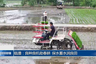 临澧：良种良机助春耕 保水蓄水润良田
