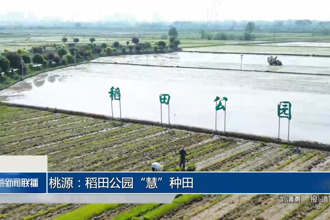 桃源：稻田公园“慧”种田