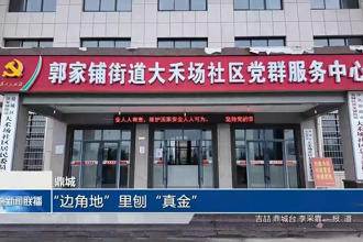 鼎城：“边角地”里刨“真金”