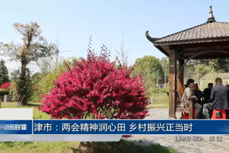 津市：两会精神润心田 乡村振兴正当时