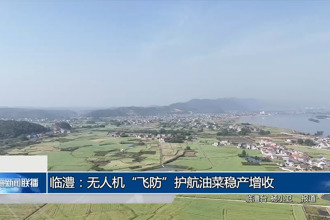 临澧：无人机“飞防”护航油菜稳产增收