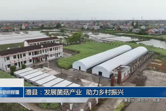 澧县：发展菌菇产业 助力乡村振兴