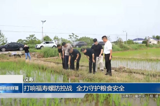 汉寿：打响“福寿螺”防控战 全力守护粮食安全