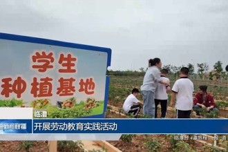 临澧：开展劳动教育实践活动
