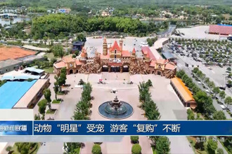 动物“明星”受宠 游客“复购”不断