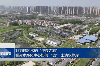 15万吨污水的“逆袭之旅”：看污水净化中心如何 “滤” 出清水绿岸