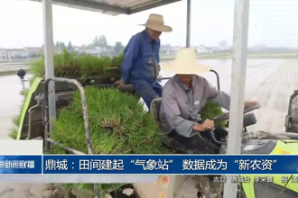 鼎城：田间建起“气象站” 数据成为“新农资”