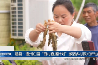 澧县：澧州庄园“百村直播计划”激活乡村振兴新动能