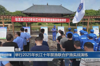 临澧：举行2025年长江十年禁渔联合护渔实战演练