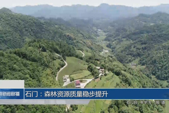 石门：森林资源质量稳步提升