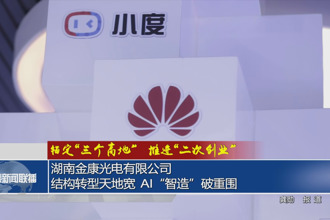 湖南金康光电有限公司：结构转型天地宽 AI“智造”破重围