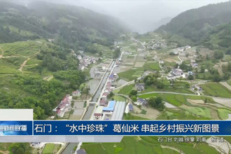 石门：“水中珍珠”葛仙米 串起乡村振兴新图景